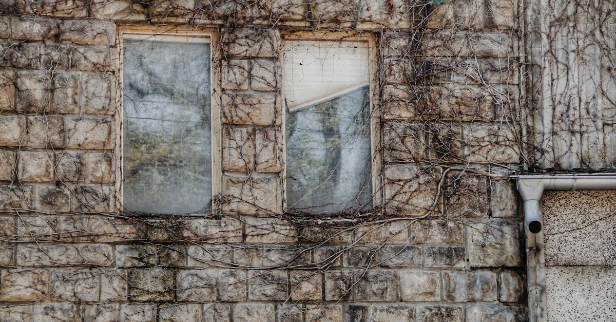 Cover Image for The Ultimate Guide to Fixer-Upper Homes: Tips for Transformation and Investment Success