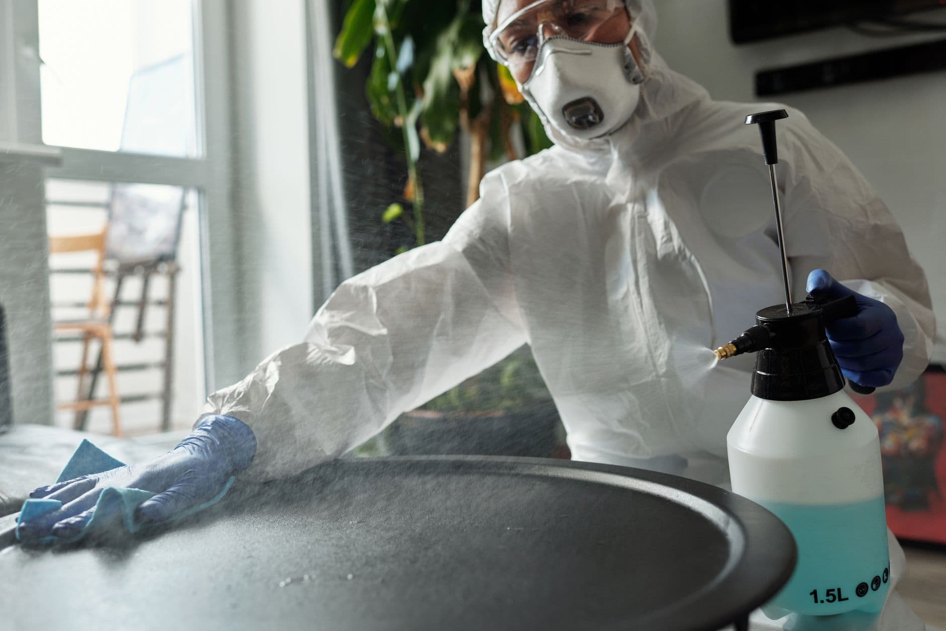 Cover image for How a New Study on Germ Spread is Changing Cleaning Habits
