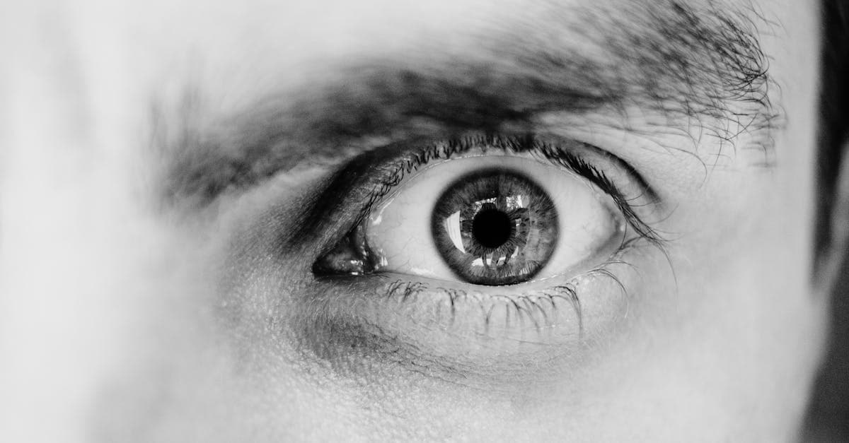 Cover Image for Macular Degeneration: New Trends and Early Warning Signs