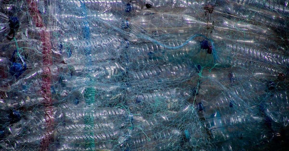 Cover Image for Plastic Recycling Trends: What’s Changing in 2026